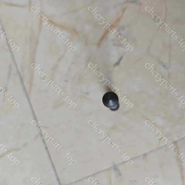 481h-1003082 Cylinder Head Bolt M10x1 5 217