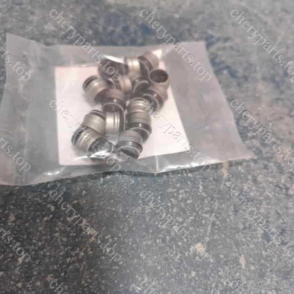 481h-1007020 Valve Oil Seal 223