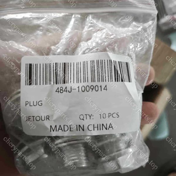 484j-1009014 Oil Drain Plug 1579