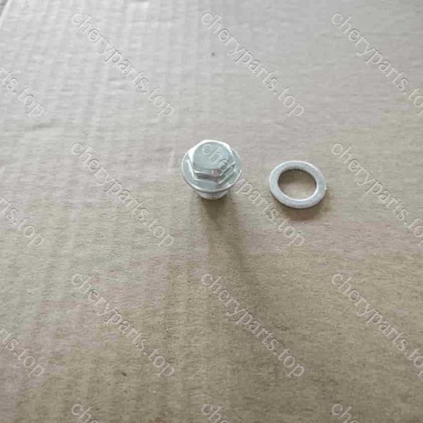 484j-1009014 Oil Drain Plug 1580