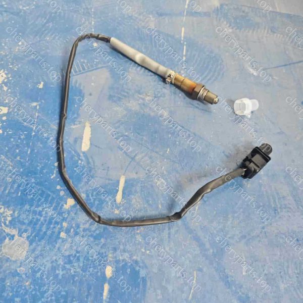 B21-1205310 Oxygen Sensor 250