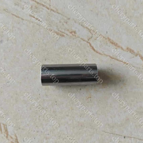 E4g16-1004031 Piston Pin 261