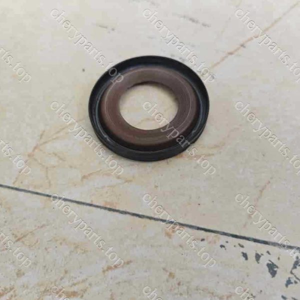 E4g16-1005040 Crankshaft Front Oil Seal 268