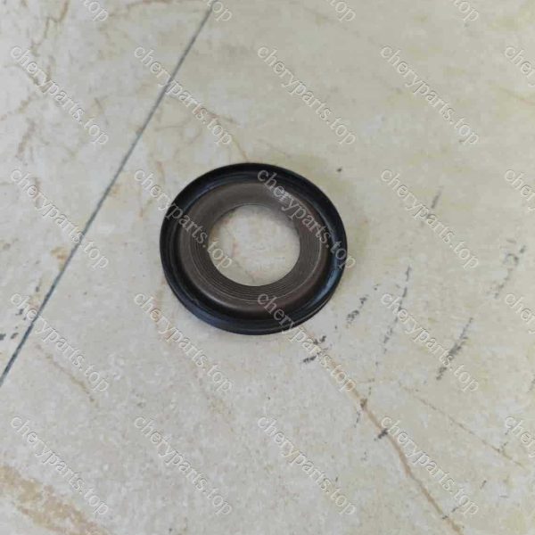E4g16-1005040 Crankshaft Front Oil Seal 269