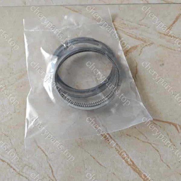 E4t15b-bj1004030 Piston Ring Assembly One Set 289