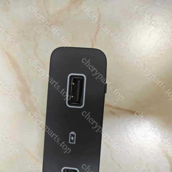 F01-7901015bc Dual Usb Charging Module 477