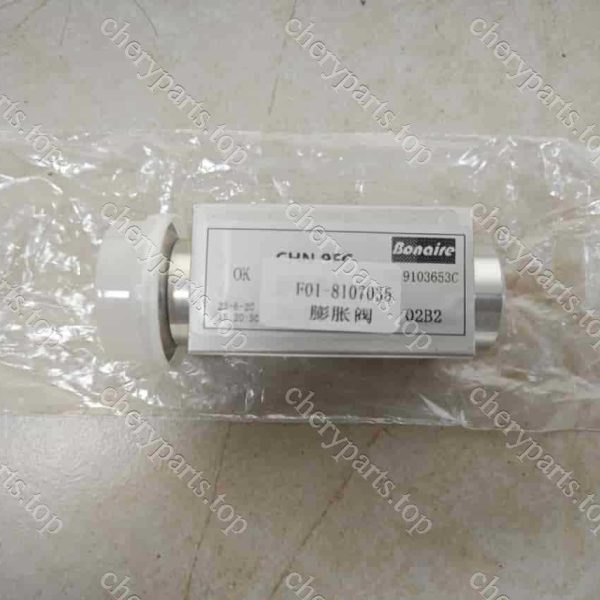 F01-8107035 Expansion Valve Assembly 483