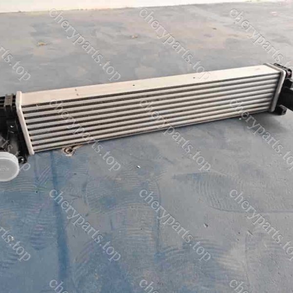 F08-1119120he Intercooler Assembly 539