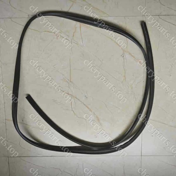 F16-5703180ca Dustproof Sealing Strip Assembly 899