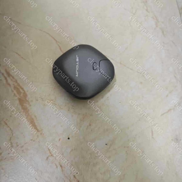 F16-6105380bj Gray-black Smart Key Assembly 908