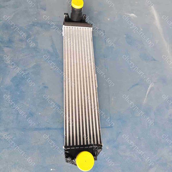 F20-1119120 Intercooler Assembly 1217