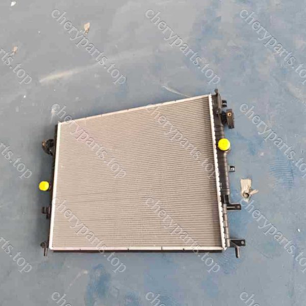 F20-1301110 Radiator Assembly 1218