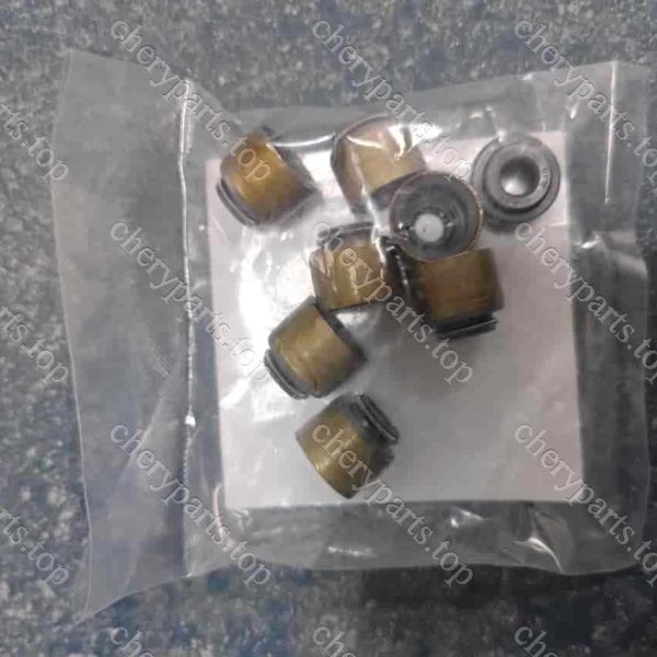 F4j16-1007071 Valve Oil Seal 1424