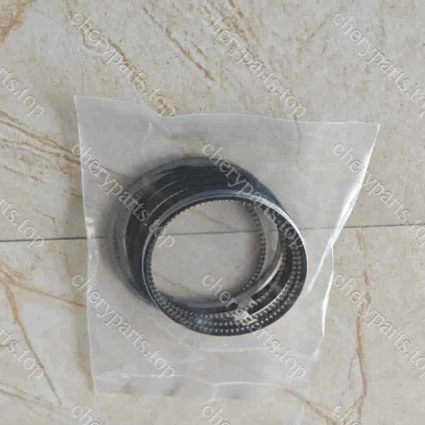 F4j16-bj1004120 Piston Ring Assembly 1444