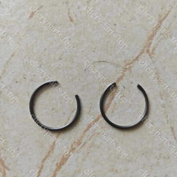 F4j20-1004135 Circlips 1469